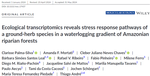 Collaboration with UNICAMP - New paper: Ecological Genomics of Ischnosiphon puberulus in a waterlogging gradient of Amazonian riparian forests